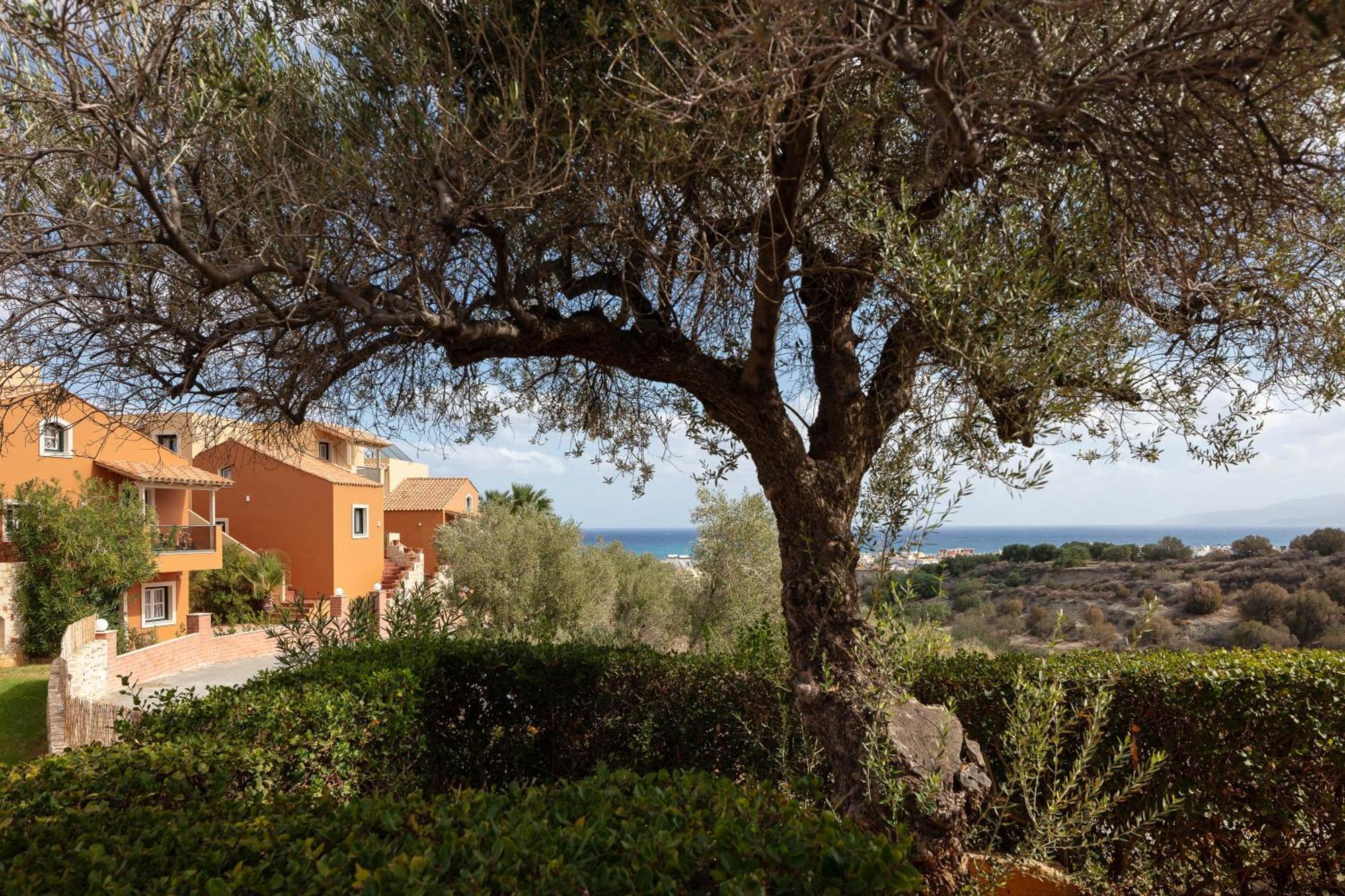Dia Apartments Chersonissos Buitenkant foto